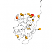 Cyclophilin E  protein 3D structural model from Catalog of Somatic Mutations in Cancer originally published in the paper COSMIC: somatic cancer genetics at high-resolution