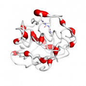 Cyclophilin F  protein 3D structural model from Catalog of Somatic Mutations in Cancer originally published in the paper COSMIC: somatic cancer genetics at high-resolution