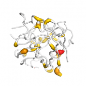 Cyclophilin G  protein 3D structural model from Catalog of Somatic Mutations in Cancer originally published in the paper COSMIC: somatic cancer genetics at high-resolution