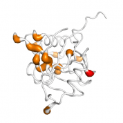 PPIH  protein 3D structural model from Catalog of Somatic Mutations in Cancer originally published in the paper COSMIC: somatic cancer genetics at high-resolution