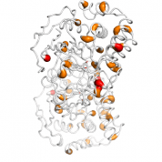 PPP1CC  protein 3D structural model from Catalog of Somatic Mutations in Cancer originally published in the paper COSMIC: somatic cancer genetics at high-resolution