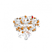 PRDX1  protein 3D structural model from Catalog of Somatic Mutations in Cancer originally published in the paper COSMIC: somatic cancer genetics at high-resolution
