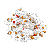PREP  protein 3D structural model from Catalog of Somatic Mutations in Cancer originally published in the paper COSMIC: somatic cancer genetics at high-resolution