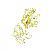 PTEN  protein 3D structural model from Catalog of Somatic Mutations in Cancer originally published in the paper COSMIC: somatic cancer genetics at high-resolution