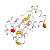 PTRH2  protein 3D structural model from Catalog of Somatic Mutations in Cancer originally published in the paper COSMIC: somatic cancer genetics at high-resolution