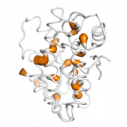 S100A10  protein 3D structural model from Catalog of Somatic Mutations in Cancer originally published in the paper COSMIC: somatic cancer genetics at high-resolution
