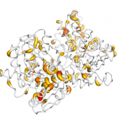 SDSL  protein 3D structural model from Catalog of Somatic Mutations in Cancer originally published in the paper COSMIC: somatic cancer genetics at high-resolution