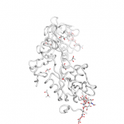 SELPLG  protein 3D structural model from Catalog of Somatic Mutations in Cancer originally published in the paper COSMIC: somatic cancer genetics at high-resolution