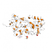 PEDF  protein 3D structural model from Catalog of Somatic Mutations in Cancer originally published in the paper COSMIC: somatic cancer genetics at high-resolution