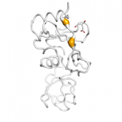 SLAMF1  protein 3D structural model from Catalog of Somatic Mutations in Cancer originally published in the paper COSMIC: somatic cancer genetics at high-resolution
