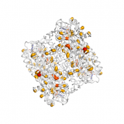 SORD  protein 3D structural model from Catalog of Somatic Mutations in Cancer originally published in the paper COSMIC: somatic cancer genetics at high-resolution