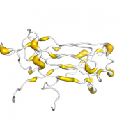 SYT4  protein 3D structural model from Catalog of Somatic Mutations in Cancer originally published in the paper COSMIC: somatic cancer genetics at high-resolution