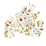 Transferrin  protein 3D structural model from Catalog of Somatic Mutations in Cancer originally published in the paper COSMIC: somatic cancer genetics at high-resolution