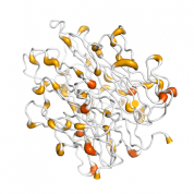 TNF a  protein 3D structural model from Catalog of Somatic Mutations in Cancer originally published in the paper COSMIC: somatic cancer genetics at high-resolution