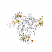 TNFR2  protein 3D structural model from Catalog of Somatic Mutations in Cancer originally published in the paper COSMIC: somatic cancer genetics at high-resolution