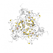 TRAIL  protein 3D structural model from Catalog of Somatic Mutations in Cancer originally published in the paper COSMIC: somatic cancer genetics at high-resolution