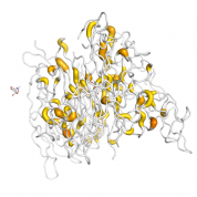 TNFSF14  protein 3D structural model from Catalog of Somatic Mutations in Cancer originally published in the paper COSMIC: somatic cancer genetics at high-resolution