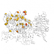 USP46  protein 3D structural model from Catalog of Somatic Mutations in Cancer originally published in the paper COSMIC: somatic cancer genetics at high-resolution