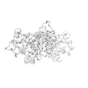 WNT7A  protein 3D structural model from Catalog of Somatic Mutations in Cancer originally published in the paper COSMIC: somatic cancer genetics at high-resolution