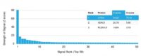 Analysis of Protein Array containing more than 19,000 full-length human proteins using Chromogranin A Rabbit Recombinant Monoclonal Antibody (CHGA/1815R). Z- and S- Score: The Z-score represents the strength of a signal that a monoclonal antibody (MAb) (in combination with a fluorescently-tagged anti-IgG secondary antibody) produces when binding to a particular protein on the HuProtTM array. Z-scores are described in units of standard deviations (SDs) above the mean value of all signals generated on that array. If targets on HuProtTM are arranged in descending order of the Z-score, the S-score is the difference (also in units of SDs) between the Z-score. S-score therefore represents the relative target specificity of a MAb to its intended target.  A MAb is considered to specific to its intended target, if the MAb has an S-score of at least 2.5. For example, if a MAb binds to protein X with a Z-score of 43 and to protein Y with a Z-score of 14, then the S-score for the binding of that MAb to protein X is equal to 29.