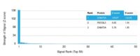 Analysis of Protein Array containing more than 19,000 full-length human proteins using DNMT3A Mouse Monoclonal Antibody (PCRP-DNMT3A-1E2) Z- and S- Score: The Z-score represents the strength of a signal that a monoclonal antibody (MAb) (in combination with a fluorescently-tagged anti-IgG secondary antibody) produces when binding to a particular protein on the HuProtTM array. Z-scores are described in units of standard deviations (SDs) above the mean value of all signals generated on that array. If targets on HuProtTM are arranged in descending order of the Z-score, the S-score is the difference (also in units of SDs) between the Z-score. S-score therefore represents the relative target specificity of a MAb to its intended target.  A MAb is considered to specific to its intended target, if the MAb has an S-score of at least 2.5. For example, if a MAb binds to protein X with a Z-score of 43 and to protein Y with a Z-score of 14, then the S-score for the binding of that MAb to protein X is equal to 29.