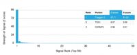 Analysis of Protein Array containing more than 19,000 full-length human proteins using Filaggrin Mouse Monoclonal Antibody (FLG/1563).Z- and S- Score: The Z-score represents the strength of a signal that a monoclonal antibody (MAb) (in combination with a fluorescently-tagged anti-IgG secondary antibody) produces when binding to a particular protein on the HuProtTM array. Z-scores are described in units of standard deviations (SDs) above the mean value of all signals generated on that array. If targets on HuProtTM are arranged in descending order of the Z-score, the S-score is the difference (also in units of SDs) between the Z-score. S-score therefore represents the relative target specificity of a MAb to its intended target.  A MAb is considered to specific to its intended target, if the MAb has an S-score of at least 2.5. For example, if a MAb binds to protein X with a Z-score of 43 and to protein Y with a Z-score of 14, then the S-score for the binding of that MAb to protein X is equal to 29.