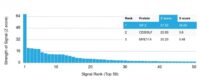 Analysis of Protein Array containing more than 19,000 full-length human proteins using GP2 Mouse Monoclonal Antibody (GP2/1803) Z- and S- Score: The Z-score represents the strength of a signal that a monoclonal antibody (MAb) (in combination with a fluorescently-tagged anti-IgG secondary antibody) produces when binding to a particular protein on the HuProtTM array. Z-scores are described in units of standard deviations (SDs) above the mean value of all signals generated on that array. If targets on HuProtTM are arranged in descending order of the Z-score, the S-score is the difference (also in units of SDs) between the Z-score. S-score therefore represents the relative target specificity of a MAb to its intended target.  A MAb is considered to specific to its intended target, if the MAb has an S-score of at least 2.5. For example, if a MAb binds to protein X with a Z-score of 43 and to protein Y with a Z-score of 14, then the S-score for the binding of that MAb to protein X is equal to 29.