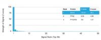 Analysis of Protein Array containing more than 19,000 full-length human proteins using MSH6 Mouse Monoclonal Antibody (MSH6/2111) Z- and S- Score: The Z-score represents the strength of a signal that a monoclonal antibody (MAb) (in combination with a fluorescently-tagged anti-IgG secondary antibody) produces when binding to a particular protein on the HuProtTM array. Z-scores are described in units of standard deviations (SDs) above the mean value of all signals generated on that array. If targets on HuProtTM are arranged in descending order of the Z-score, the S-score is the difference (also in units of SDs) between the Z-score. S-score therefore represents the relative target specificity of a MAb to its intended target.  A MAb is considered to specific to its intended target, if the MAb has an S-score of at least 2.5. For example, if a MAb binds to protein X with a Z-score of 43 and to protein Y with a Z-score of 14, then the S-score for the binding of that MAb to protein X is equal to 29.