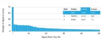 Analysis of Protein Array containing >19,000 full-length human proteins using Kappa Light Chain Mouse Monoclonal Antibody (rKLC/264) Z- and S- Score: The Z-score represents the strength of a signal that a monoclonal antibody (MAb) (in combination with a fluorescently-tagged anti-IgG secondary antibody) produces when binding to a particular protein on the HuProtTM array. Z-scores are described in units of standard deviations (SDs) above the mean value of all signals generated on that array. If targets on HuProtTM are arranged in descending order of the Z-score, the S-score is the difference (also in units of SDs) between the Z-score. S-score therefore represents the relative target specificity of a MAb to its intended target.  A MAb is considered to specific to its intended target, if the MAb has an S-score of at least 2.5. For example, if a MAb binds to protein X with a Z-score of 43 and to protein Y with a Z-score of 14, then the S-score for the binding of that MAb to protein X is equal to 29.