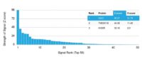 Analysis of Protein Array containing more than 19,000 full-length human proteins using Kappa Light Chain Mouse Recombinant Monoclonal Antibody (rL1C1). Z- and S- Score: The Z-score represents the strength of a signal that a monoclonal antibody (MAb) (in combination with a fluorescently-tagged anti-IgG secondary antibody) produces when binding to a particular protein on the HuProtTM array. Z-scores are described in units of standard deviations (SDs) above the mean value of all signals generated on that array. If targets on HuProtTM are arranged in descending order of the Z-score, the S-score is the difference (also in units of SDs) between the Z-score. S-score therefore represents the relative target specificity of a MAb to its intended target.  A MAb is considered to specific to its intended target, if the MAb has an S-score of at least 2.5. For example, if a MAb binds to protein X with a Z-score of 43 and to protein Y with a Z-score of 14, then the S-score for the binding of that MAb to protein X is equal to 29.