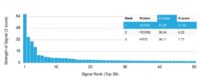 Analysis of Protein Array containing more than 19,000 full-length human proteins using Cytokeratin 6A (KRT6A) Mouse Monoclonal Antibody (KRT6A/2368). Z- and S- Score: The Z-score represents the strength of a signal that a monoclonal antibody (MAb) (in combination with a fluorescently-tagged anti-IgG secondary antibody) produces when binding to a particular protein on the HuProtTM array. Z-scores are described in units of standard deviations (SDs) above the mean value of all signals generated on that array. If targets on HuProtTM are arranged in descending order of the Z-score, the S-score is the difference (also in units of SDs) between the Z-score. S-score therefore represents the relative target specificity of a MAb to its intended target.  A MAb is considered to specific to its intended target, if the MAb has an S-score of at least 2.5. For example, if a MAb binds to protein X with a Z-score of 43 and to protein Y with a Z-score of 14, then the S-score for the binding of that MAb to protein X is equal to 29.