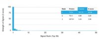 Analysis of Protein Array containing more than 19,000 full-length human proteins using TCF4 Mouse Monoclonal Antibody (TCF4/1705) Z- and S- Score: The Z-score represents the strength of a signal that a monoclonal antibody (MAb) (in combination with a fluorescently-tagged anti-IgG secondary antibody) produces when binding to a particular protein on the HuProtTM array. Z-scores are described in units of standard deviations (SDs) above the mean value of all signals generated on that array. If targets on HuProtTM are arranged in descending order of the Z-score, the S-score is the difference (also in units of SDs) between the Z-score. S-score therefore represents the relative target specificity of a MAb to its intended target.  A MAb is considered to specific to its intended target, if the MAb has an S-score of at least 2.5. For example, if a MAb binds to protein X with a Z-score of 43 and to protein Y with a Z-score of 14, then the S-score for the binding of that MAb to protein X is equal to 29.