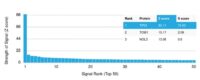 Analysis of Protein Array containing more than 19,000 full-length human proteins using TP53 Mouse Monoclonal Antibody (PCRP-TP53-1F7)Z- and S- Score: The Z-score represents the strength of a signal that a monoclonal antibody (MAb) (in combination with a fluorescently-tagged anti-IgG secondary antibody) produces when binding to a particular protein on the HuProtTM array. Z-scores are described in units of standard deviations (SDs) above the mean value of all signals generated on that array. If targets on HuProtTM are arranged in descending order of the Z-score, the S-score is the difference (also in units of SDs) between the Z-score. S-score therefore represents the relative target specificity of a MAb to its intended target.  A MAb is considered to specific to its intended target, if the MAb has an S-score of at least 2.5. For example, if a MAb binds to protein X with a Z-score of 43 and to protein Y with a Z-score of 14, then the S-score for the binding of that MAb to protein X is equal to 29.