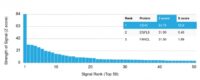 Analysis of Protein Array containing more than 19,000 full-length human proteins using CD40 Mouse Recombinant Monoclonal Antibody (C40/2383) Z- and S- Score: The Z-score represents the strength of a signal that a monoclonal antibody (MAb) (in combination with a fluorescently-tagged anti-IgG secondary antibody) produces when binding to a particular protein on the HuProtTM array. Z-scores are described in units of standard deviations (SDs) above the mean value of all signals generated on that array. If targets on HuProtTM are arranged in descending order of the Z-score, the S-score is the difference (also in units of SDs) between the Z-score. S-score therefore represents the relative target specificity of a MAb to its intended target.  A MAb is considered to specific to its intended target, if the MAb has an S-score of at least 2.5. For example, if a MAb binds to protein X with a Z-score of 43 and to protein Y with a Z-score of 14, then the S-score for the binding of that MAb to protein X is equal to 29.