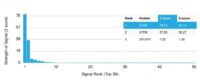 Analysis of Protein Array containing more than 19,000 full-length human proteins using CD68 Mouse Monoclonal Antibody (LAMP4/1830) Z- and S- Score: The Z-score represents the strength of a signal that a monoclonal antibody (MAb) (in combination with a fluorescently-tagged anti-IgG secondary antibody) produces when binding to a particular protein on the HuProtTM array. Z-scores are described in units of standard deviations (SDs) above the mean value of all signals generated on that array. If targets on HuProtTM are arranged in descending order of the Z-score, the S-score is the difference (also in units of SDs) between the Z-score. S-score therefore represents the relative target specificity of a MAb to its intended target.  A MAb is considered to specific to its intended target, if the MAb has an S-score of at least 2.5. For example, if a MAb binds to protein X with a Z-score of 43 and to protein Y with a Z-score of 14, then the S-score for the binding of that MAb to protein X is equal to 29.