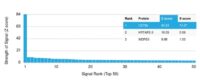 Analysis of Protein Array containing more than 19,000 full-length human proteins using CD79b Mouse Monoclonal Antibody (IGB/1844). Z- and S- Score: The Z-score represents the strength of a signal that a monoclonal antibody (MAb) (in combination with a fluorescently-tagged anti-IgG secondary antibody) produces when binding to a particular protein on the HuProtTM array. Z-scores are described in units of standard deviations (SDs) above the mean value of all signals generated on that array. If targets on HuProtTM are arranged in descending order of the Z-score, the S-score is the difference (also in units of SDs) between the Z-score. S-score therefore represents the relative target specificity of a MAb to its intended target.  A MAb is considered to specific to its intended target, if the MAb has an S-score of at least 2.5. For example, if a MAb binds to protein X with a Z-score of 43 and to protein Y with a Z-score of 14, then the S-score for the binding of that MAb to protein X is equal to 29.